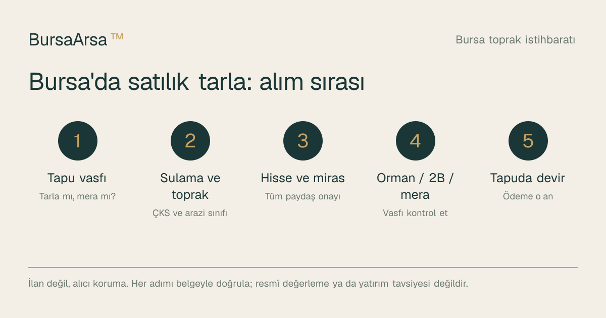 Bursa'da satılık tarla alım sırası: tapu vasfı, sulama ve toprak, hisse ve miras onayı, orman/2B/mera kontrolü, tapuda devir.