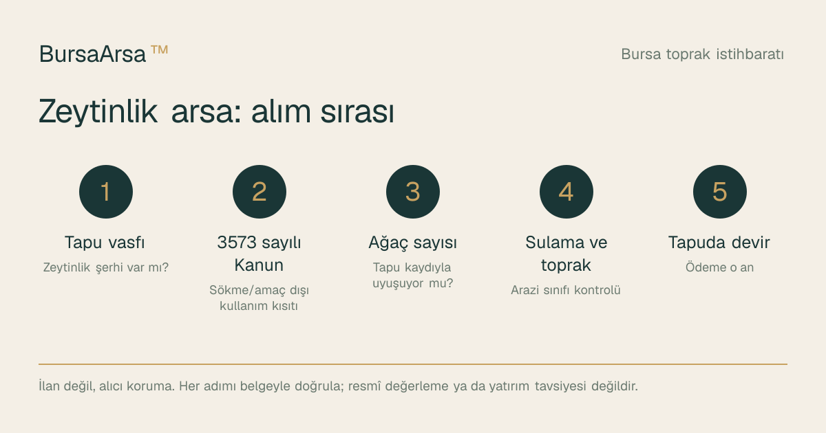 Zeytinlik arsa alım sırası: tapu vasfı, 3573 sayılı Kanun kısıtı, ağaç sayısı, sulama ve toprak, tapuda devir.