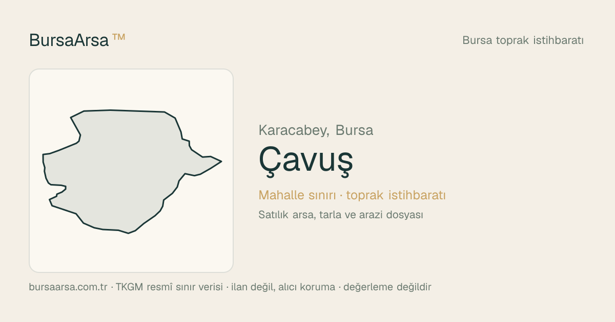 Çavuş (Karacabey) mahalle sınırı, TKGM kadastro verisi